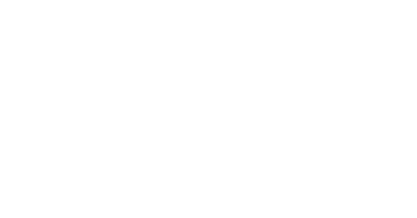 Ritz Carlton South Beach logo